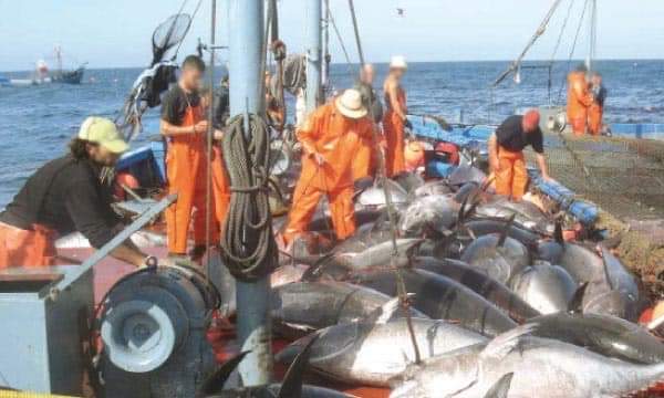 Fin des accords de pêche avec l’UE: une excellente nouvelle pour les consommateurs et les pêcheurs traditionnels